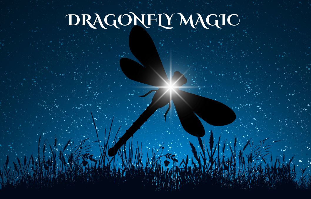 Dragonfly Magic | COMING FALL 2024
